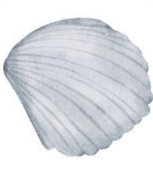 Blue Escapes  -- Lindsey